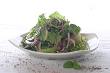 ItalianBasilSaladwithRedWineHerbVinaigrette